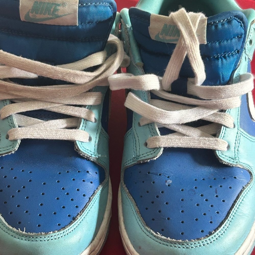 Nike Dunk Low Argon white and Blue Sneakers